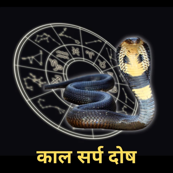 Kaal Sarp Dosh Puja Ujjain